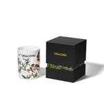 CIGALONG-Bamboo Whispers Ceramic Candle